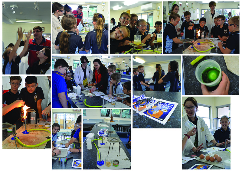 Get a grip on science collage1.jpg